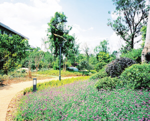 全国园林绿化上市公司有哪些?-全国有那些公司