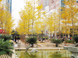 华西村人均收入_人均拥有(2)